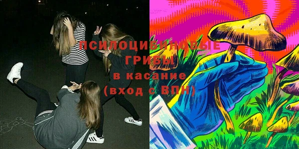 синтетический гашиш Елизово