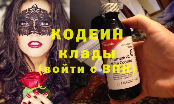крисы Ельня