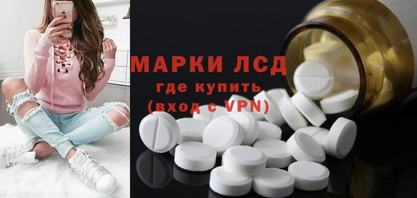 крисы Ельня
