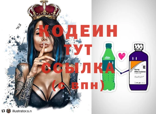 крисы Ельня