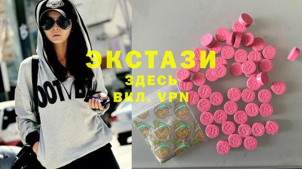 крисы Ельня