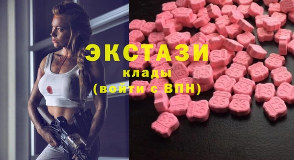 крисы Ельня
