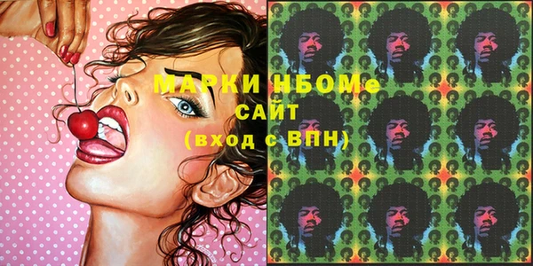 крисы Ельня