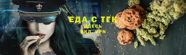 крисы Ельня