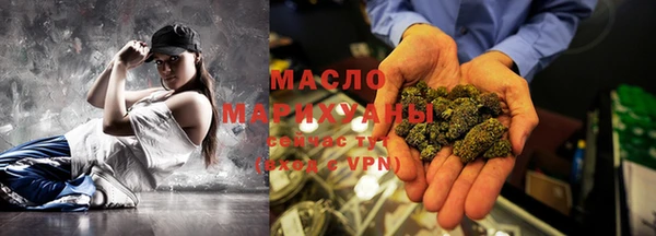крисы Ельня