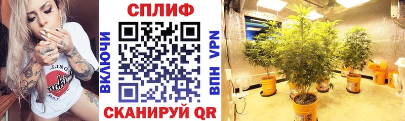 Бошки марихуана марихуана  нарко площадка клад  Николаевск-на-Амуре 